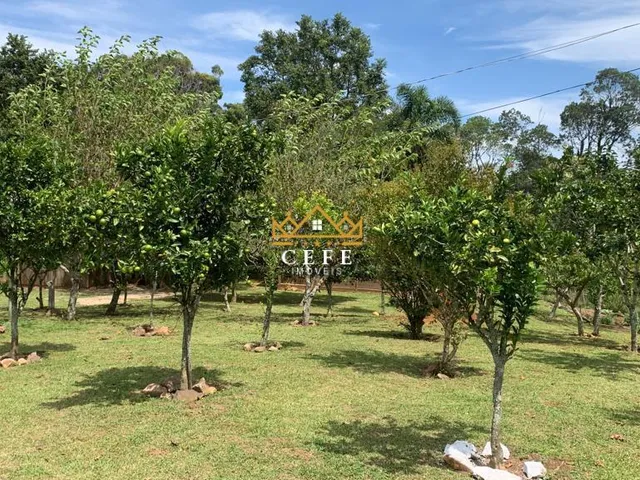 Imagem 3: Sítio em Gramado: Encante-se com essa propriedade na Linha Tapera!