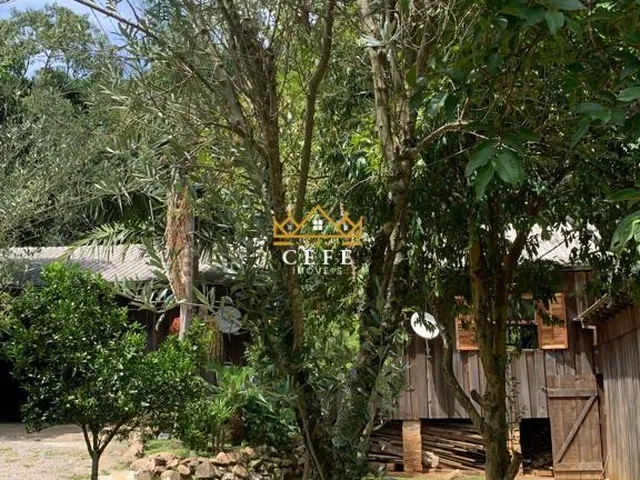 Imagem 5: Sítio em Gramado: Encante-se com essa propriedade na Linha Tapera!