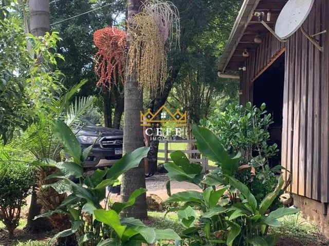 Imagem 7: Sítio em Gramado: Encante-se com essa propriedade na Linha Tapera!