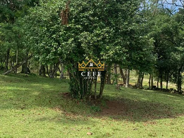 Imagem 11: Sítio em Gramado: Encante-se com essa propriedade na Linha Tapera!