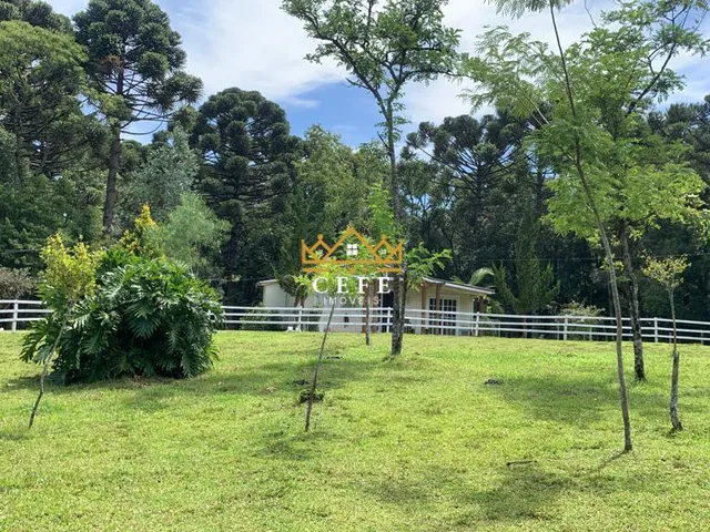 Imagem 12: Sítio em Gramado: Encante-se com essa propriedade na Linha Tapera!