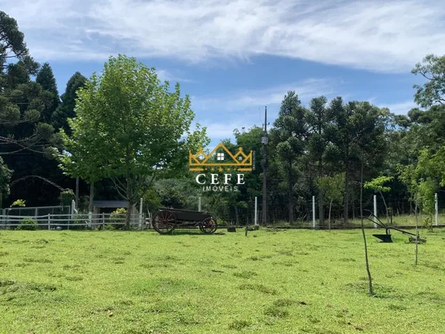 Imagem 13: Sítio em Gramado: Encante-se com essa propriedade na Linha Tapera!