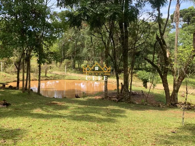Imagem 14: Sítio em Gramado: Encante-se com essa propriedade na Linha Tapera!