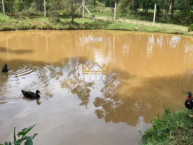 Imagem 15: Sítio em Gramado: Encante-se com essa propriedade na Linha Tapera!