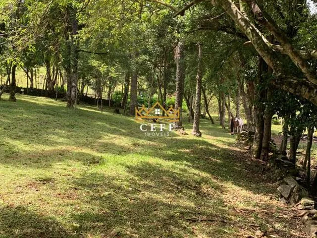 Imagem 16: Sítio em Gramado: Encante-se com essa propriedade na Linha Tapera!