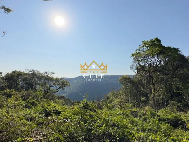 Imagem 3: BELÍSSIMO SÍTIO COM VISTA PARA O VALE EM NOVA PETRÓPOLIS-RS
