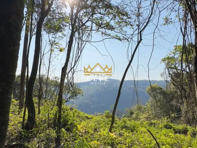 Imagem 5: BELÍSSIMO SÍTIO COM VISTA PARA O VALE EM NOVA PETRÓPOLIS-RS