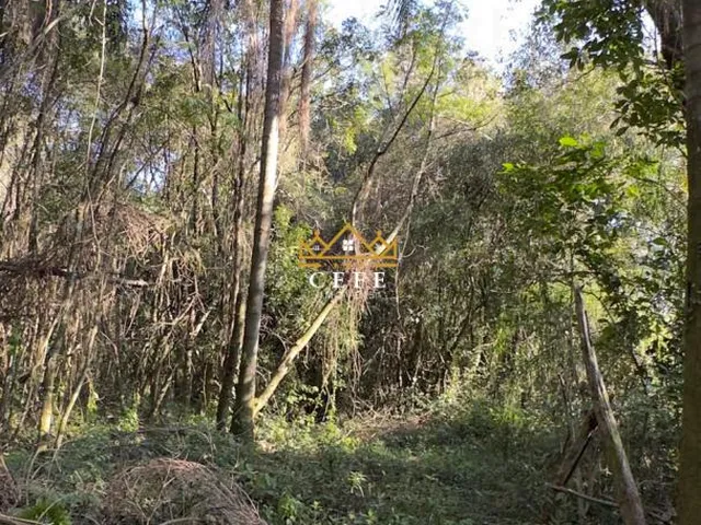 Imagem 7: BELÍSSIMO SÍTIO COM VISTA PARA O VALE EM NOVA PETRÓPOLIS-RS