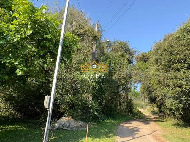 Imagem 9: BELÍSSIMO SÍTIO COM VISTA PARA O VALE EM NOVA PETRÓPOLIS-RS