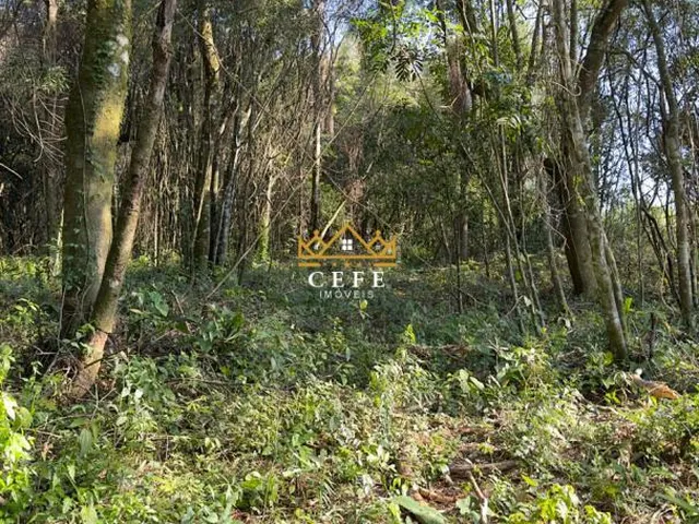 Imagem 10: BELÍSSIMO SÍTIO COM VISTA PARA O VALE EM NOVA PETRÓPOLIS-RS