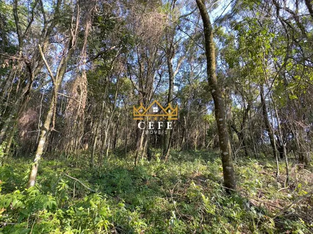 Imagem 11: BELÍSSIMO SÍTIO COM VISTA PARA O VALE EM NOVA PETRÓPOLIS-RS