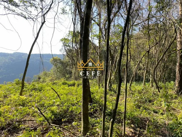 Imagem 12: BELÍSSIMO SÍTIO COM VISTA PARA O VALE EM NOVA PETRÓPOLIS-RS