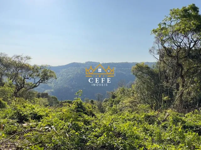 Imagem 13: BELÍSSIMO SÍTIO COM VISTA PARA O VALE EM NOVA PETRÓPOLIS-RS