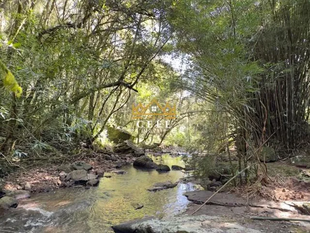 Imagem 2: BELÍSSIMO SÍTIO COM RIACHO EM NOVA PETRÓPOLIS-RS