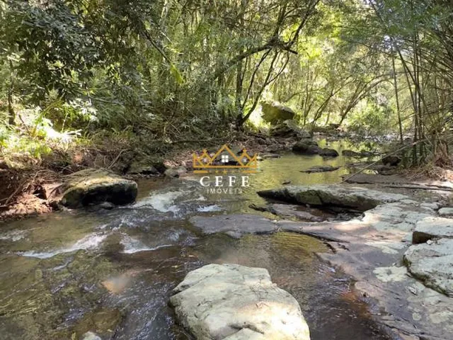 Imagem 3: BELÍSSIMO SÍTIO COM RIACHO EM NOVA PETRÓPOLIS-RS