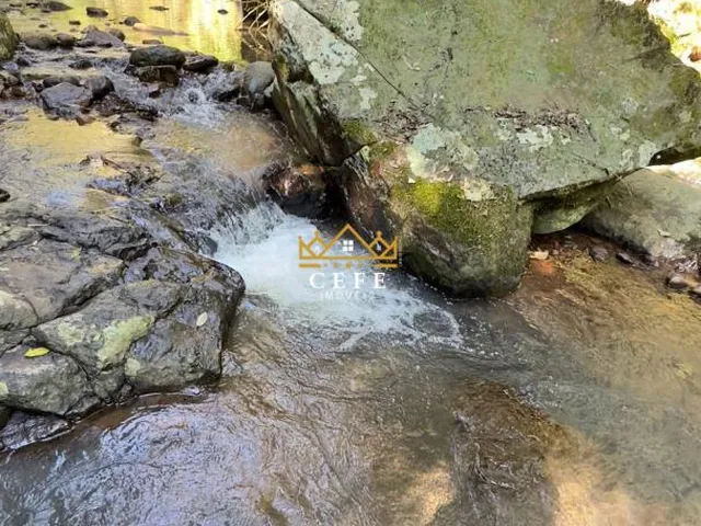 Imagem 4: BELÍSSIMO SÍTIO COM RIACHO EM NOVA PETRÓPOLIS-RS