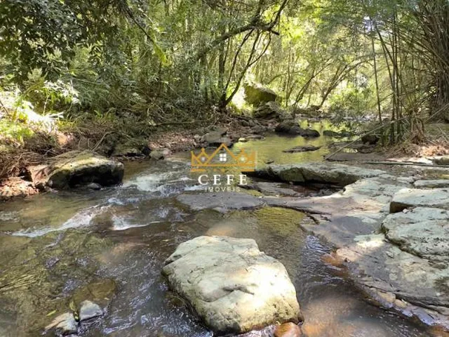 Imagem 5: BELÍSSIMO SÍTIO COM RIACHO EM NOVA PETRÓPOLIS-RS