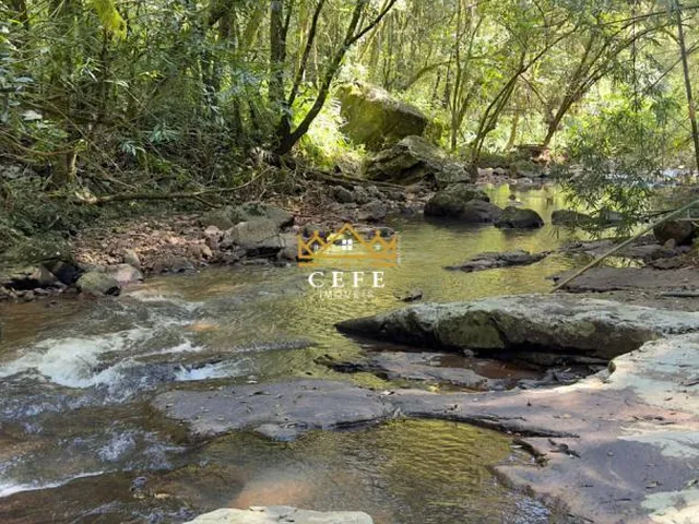 Imagem 6: BELÍSSIMO SÍTIO COM RIACHO EM NOVA PETRÓPOLIS-RS