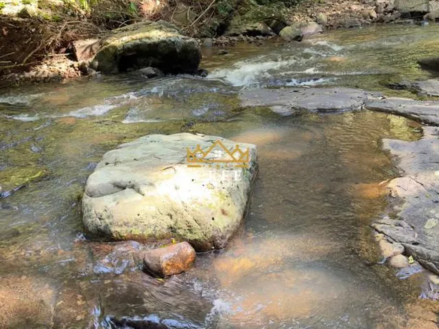 Imagem 8: BELÍSSIMO SÍTIO COM RIACHO EM NOVA PETRÓPOLIS-RS