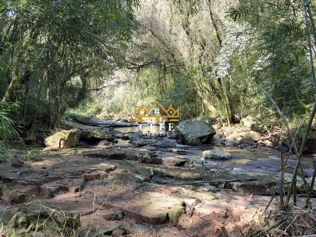 Imagem 9: BELÍSSIMO SÍTIO COM RIACHO EM NOVA PETRÓPOLIS-RS