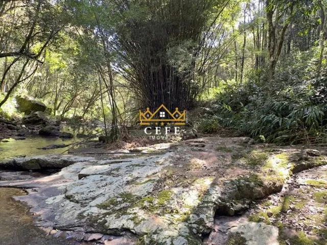 Imagem 13: BELÍSSIMO SÍTIO COM RIACHO EM NOVA PETRÓPOLIS-RS