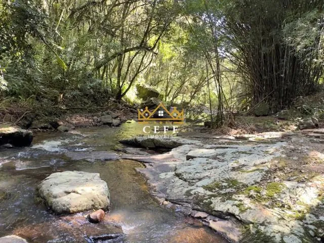 Imagem 14: BELÍSSIMO SÍTIO COM RIACHO EM NOVA PETRÓPOLIS-RS