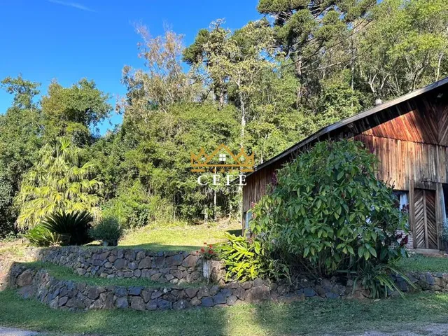 Imagem: Sítio à venda em Nova Petrópolis, Linha