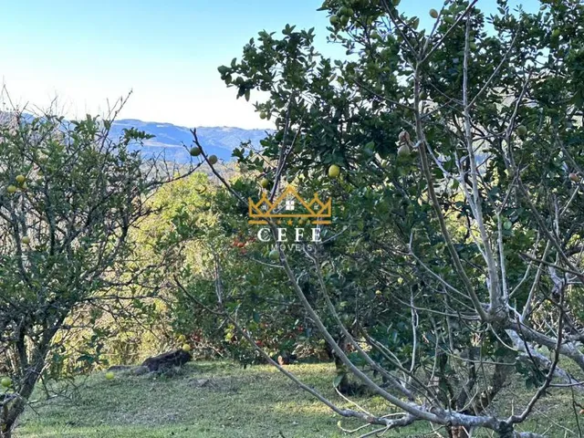 Imagem 8: Sítio à venda em Nova Petrópolis, Linha Imperial - 200m² de área construída