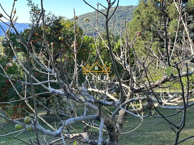Imagem 10: Sítio à venda em Nova Petrópolis, Linha Imperial - 200m² de área construída