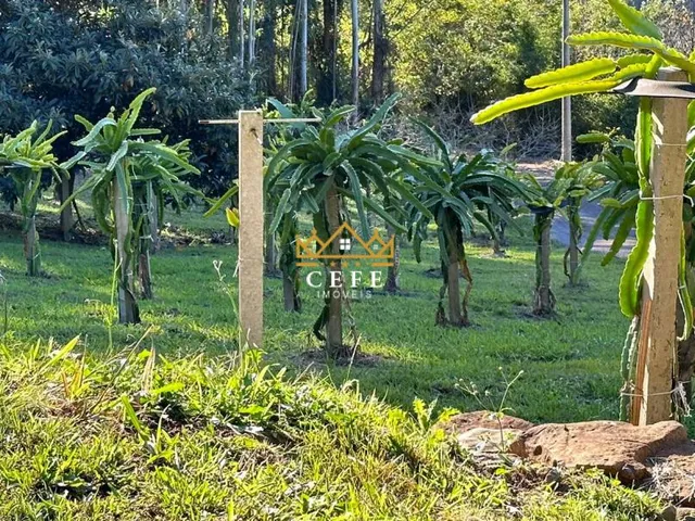 Imagem 11: Sítio à venda em Nova Petrópolis, Linha Imperial - 200m² de área construída