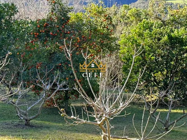 Imagem 12: Sítio à venda em Nova Petrópolis, Linha Imperial - 200m² de área construída