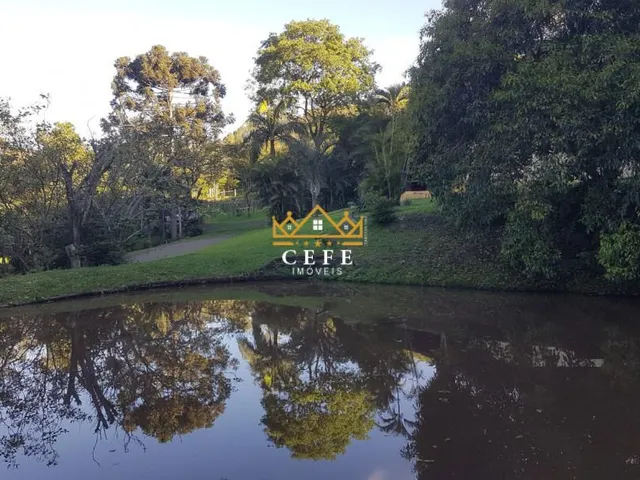 Imagem 2: Sítio em Araricá: confira essa oferta imperdível na Zona Rural!