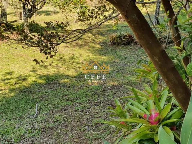 Imagem 4: Sítio em Araricá: confira essa oferta imperdível na Zona Rural!
