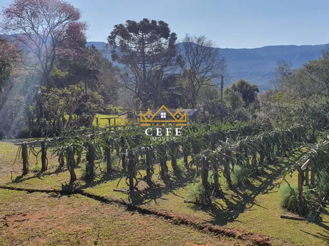 Imagem 5: Sítio em Araricá: confira essa oferta imperdível na Zona Rural!