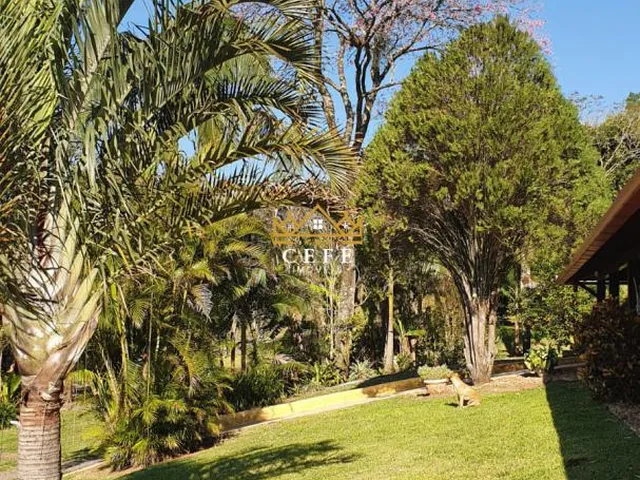 Imagem 10: Sítio em Araricá: confira essa oferta imperdível na Zona Rural!