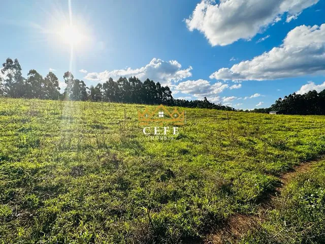 Imagem: Área de 16,6 hectares - Ideal para sítio