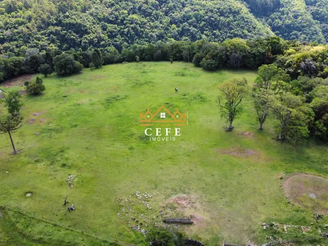 Imagem: Oportunidade única Sítio em Gramado