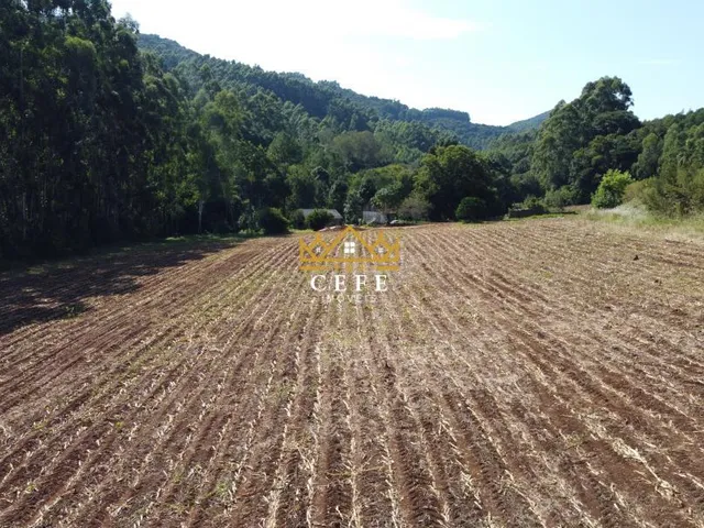 Imagem: Sítio em Nova Petrópolis oportunidade