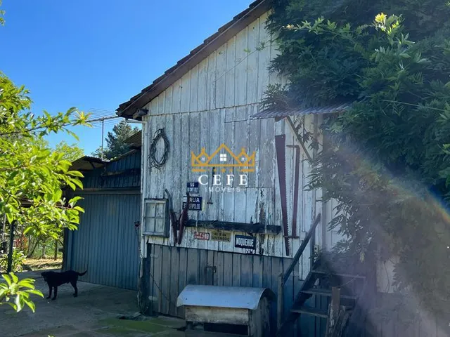 Imagem 9: Sítio em Nova Petrópolis: Oportunidade única na Zona Rural!
