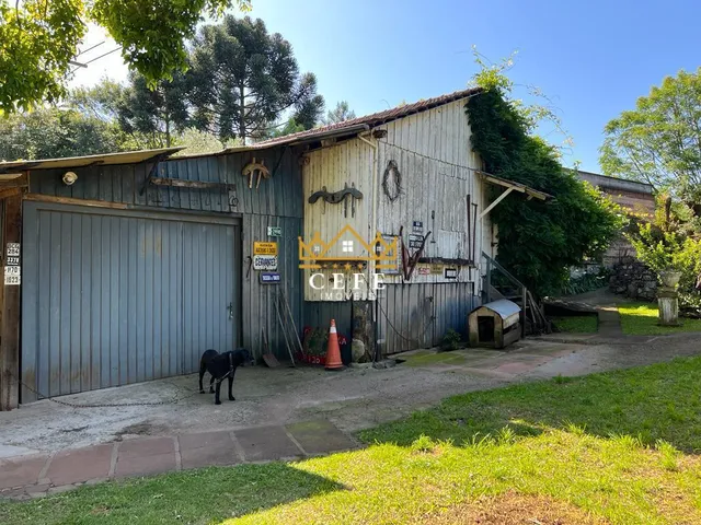 Imagem 11: Sítio em Nova Petrópolis: Oportunidade única na Zona Rural!