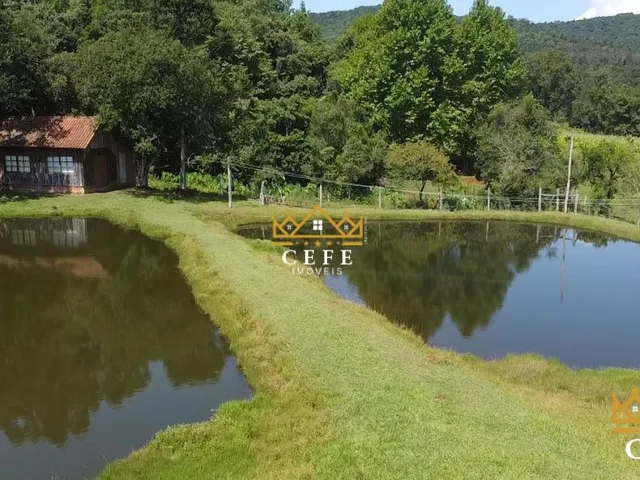 Imagem 2: Lindo Sítio A Venda em São Francisco De Paula Com 14,4 Hectares