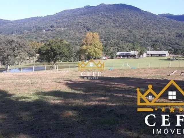 Imagem 3: Lindo Sítio A Venda em São Francisco De Paula Com 14,4 Hectares