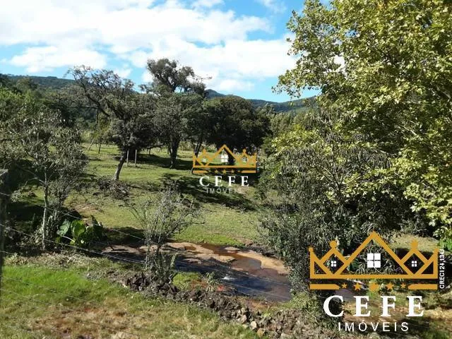 Imagem 5: Lindo Sítio A Venda em São Francisco De Paula Com 14,4 Hectares