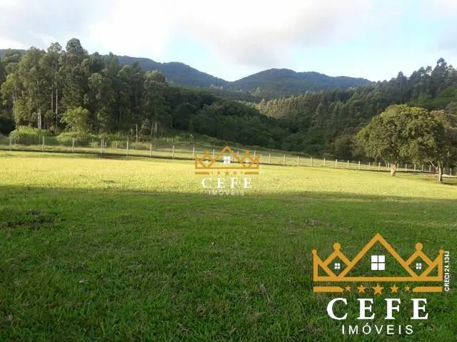 Imagem 6: Lindo Sítio A Venda em São Francisco De Paula Com 14,4 Hectares