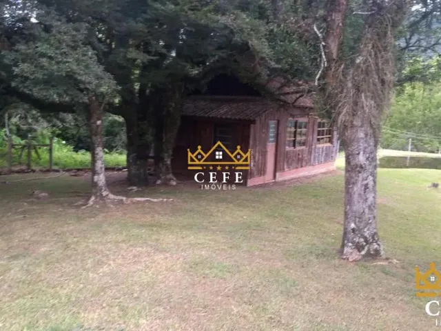 Imagem 7: Lindo Sítio A Venda em São Francisco De Paula Com 14,4 Hectares