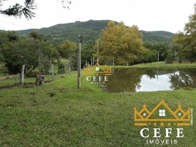 Imagem 9: Lindo Sítio A Venda em São Francisco De Paula Com 14,4 Hectares