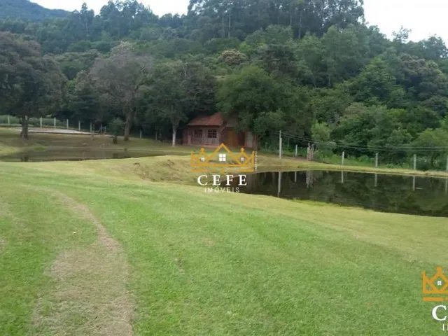 Imagem 10: Lindo Sítio A Venda em São Francisco De Paula Com 14,4 Hectares