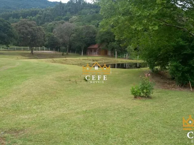 Imagem 11: Lindo Sítio A Venda em São Francisco De Paula Com 14,4 Hectares