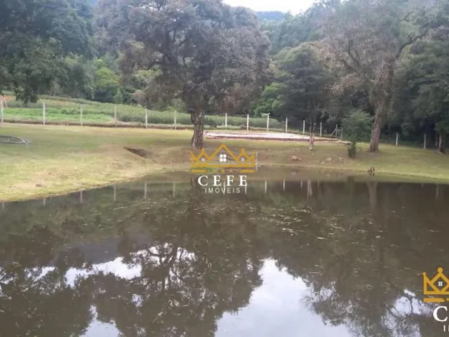 Imagem 13: Lindo Sítio A Venda em São Francisco De Paula Com 14,4 Hectares