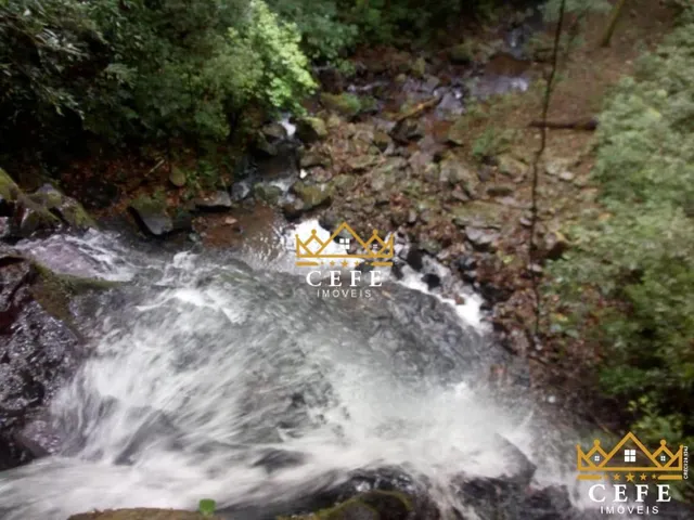 Imagem 14: Lindo Sítio A Venda em São Francisco De Paula Com 14,4 Hectares